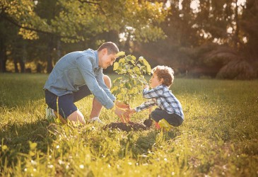 Mann und Kind pflanzen gemeinsam einen Baum