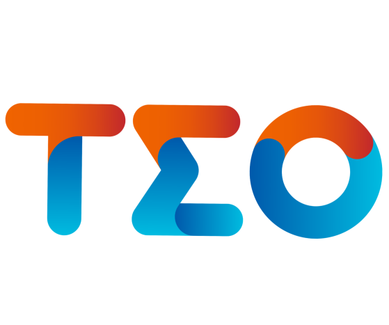 TEO Logo